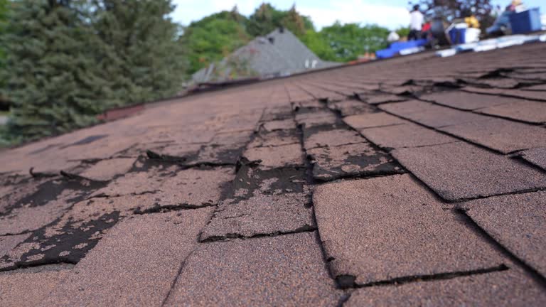 Best Green or Eco-Friendly Roofing Solutions  in Agoura Hills, CA